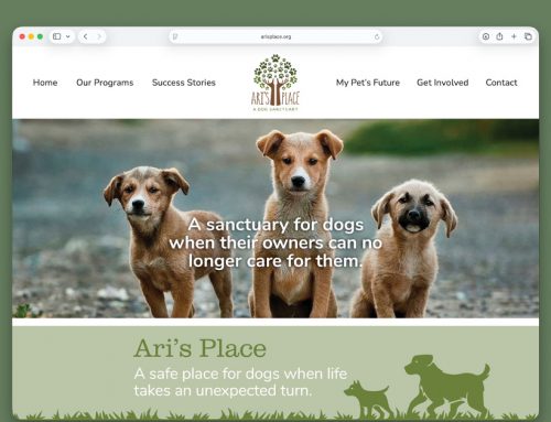 Bringing the Ari’s Place Story to Life